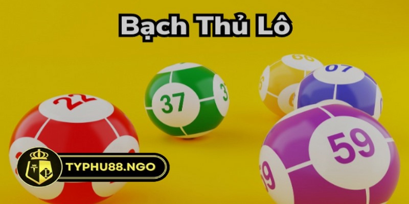 Bạch thủ lô Typhu88 là gì và tổng hợp phương pháp đánh hay 2 Bạch thủ lô Typhu88 được xem là hình thức có nhiều người tham gia