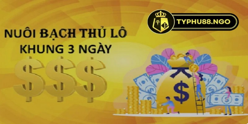 Bạch thủ lô Typhu88 là gì và tổng hợp phương pháp đánh hay 3 Đánh bạch thủ lô được đánh giá không phù hợp với ai thích an toàn